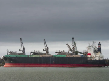 Do you think household goods import customs clearance is simple? You're terribly mistaken!