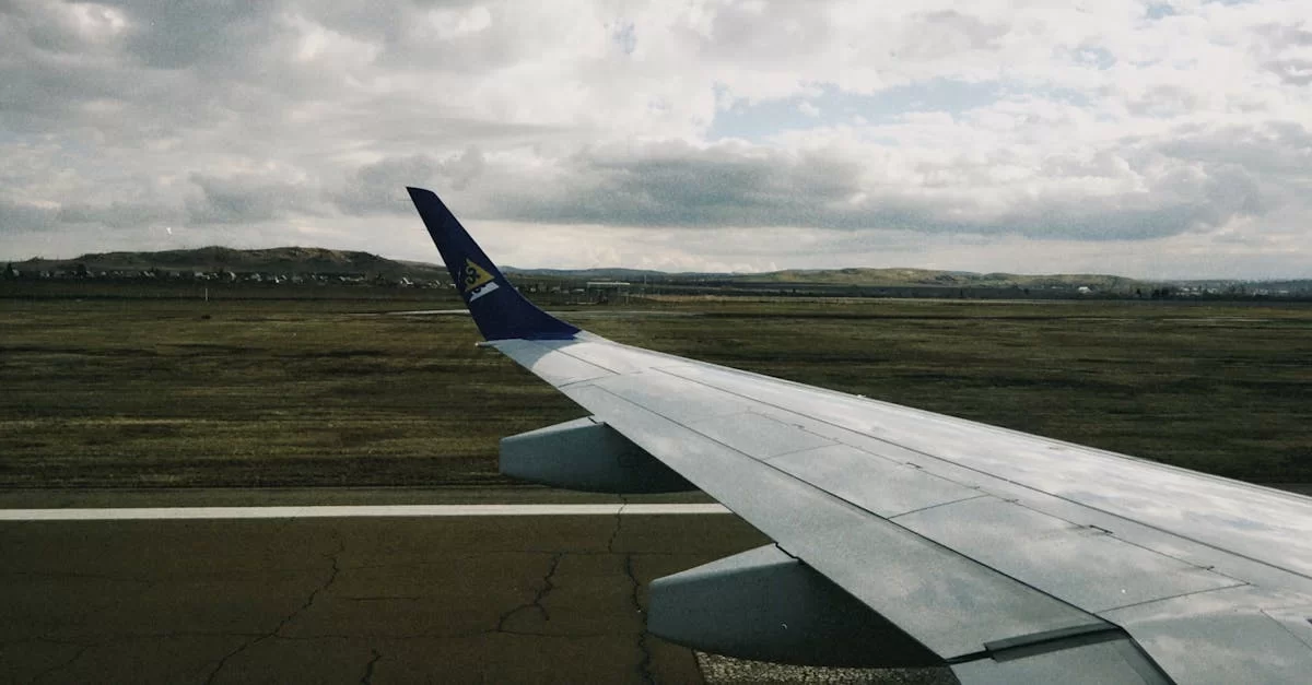 Don't Underestimate Kunming Flower Export Agencies!