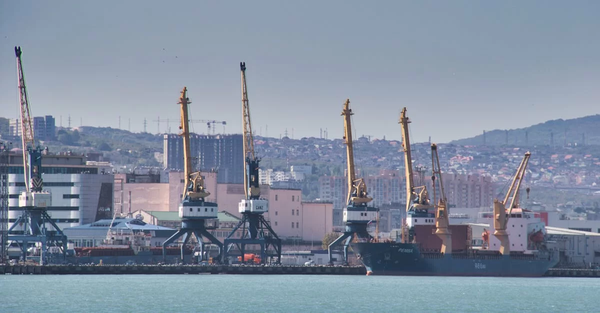 Interprétation amusante : les dessous de l’inspection par agent technique d’importation à Hubei