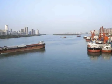 Re-export CO: The Hidden Code of International Trade?