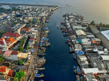 Hubei Export Logistics Agency Company, surprisingly so powerful?