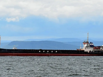 Import von Immunreagenzien-Agenturen: Ein Kuchen oder eine Falle?