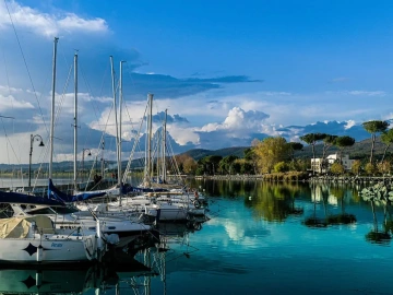 Is Export Agency an IQ Tax? Shenyang Boss Debunks with Data