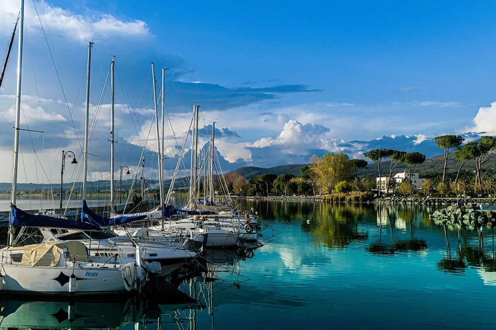 Guangzhou Shenzhen Export Agency, A Marvelous Combination You Don't Know