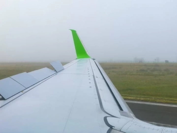 Shocking! The Secret Behind Machinery Import Customs Declaration Agency Prices