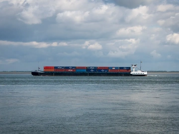 How long does the foreign trade agency tell you to import customs clearance goods?