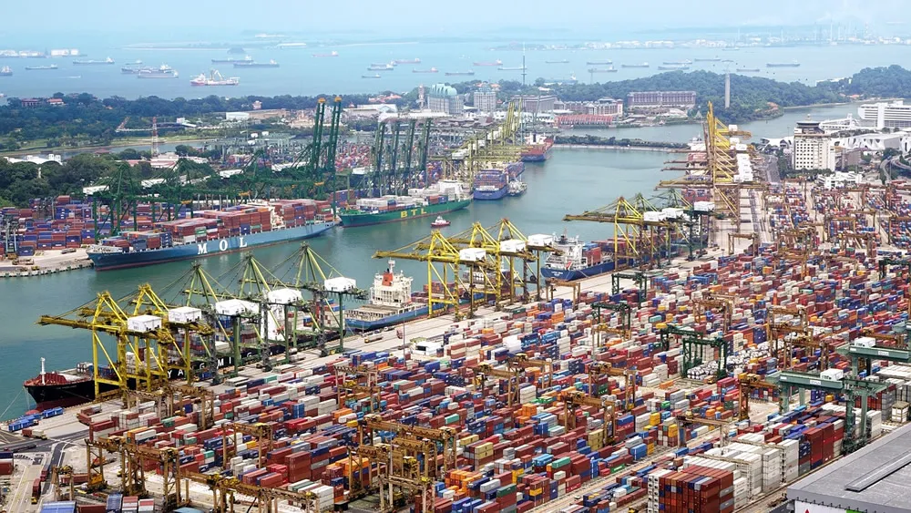 Exploring Maoming Trade Agency Export, Opportunity or Challenge?