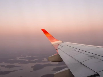 Agent d’importation allemand ? Connaissez-vous les ficelles du métier ?