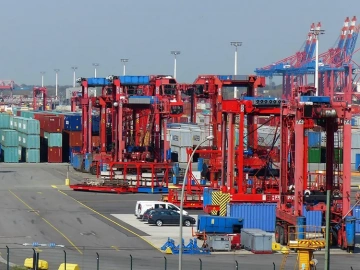 Imported Seafood Customs Clearance Slow? You Might Have Stepped Into These Three Minefields