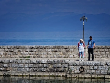 Shocking! The Secret Behind Machinery Import Customs Declaration Agency Prices