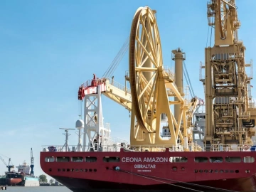 Import von Pigmenten blockiert? Leitfaden eines erfahrenen Zollagenten aus Shanghai zur Vermeidung von Fallstricken