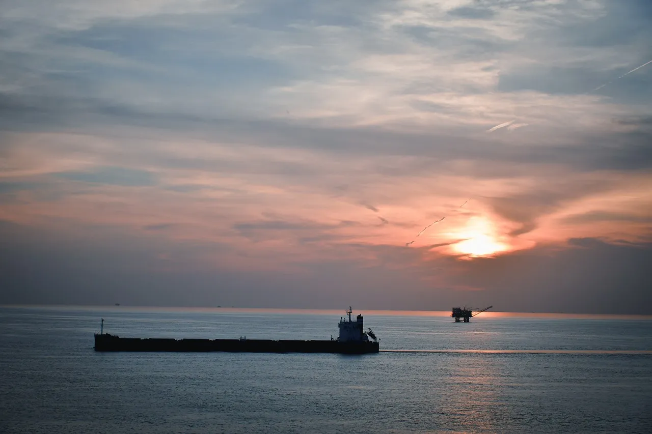 ¿Sabes cómo el comercio de reexportación y las zonas francas se desarrollan de forma sinérgica?