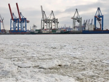 Stop Choosing Blindly! This Lianyungang Ocean Shipping Export Agent is Excellent