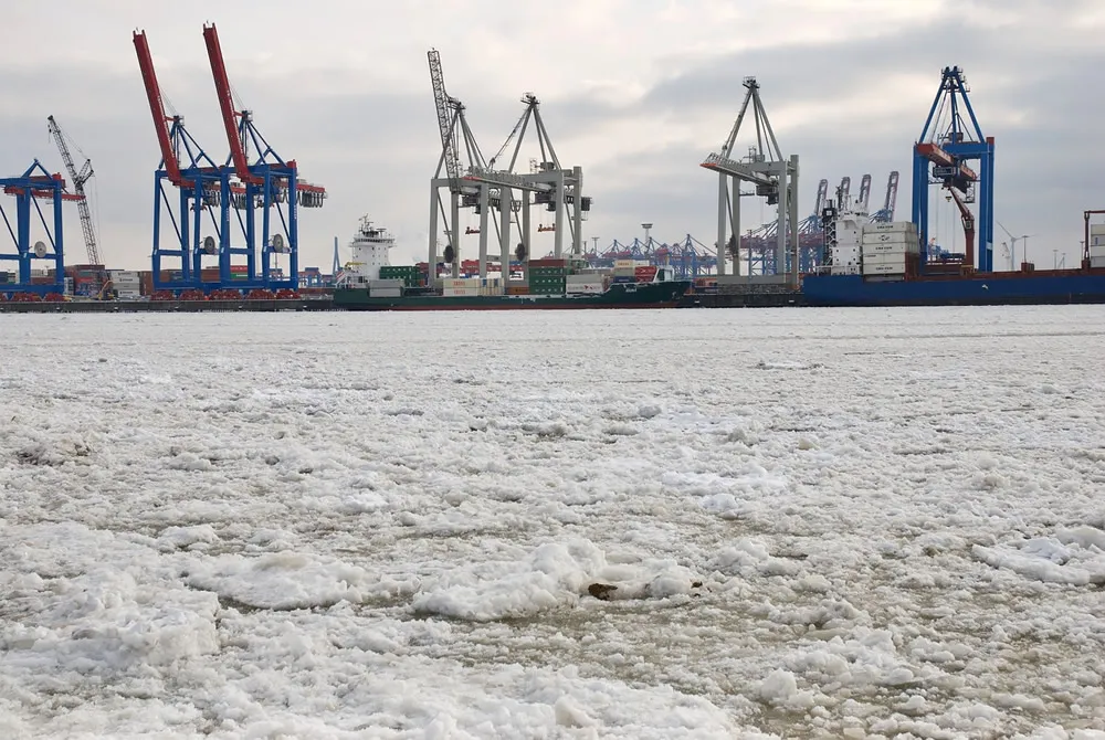 숨겨진 놀라운 사업 기회! 한국 수입 과자 대행 뒤에 감춰진 진실