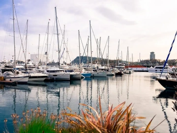 Import Agency Too Deep? Guangzhou Veteran Customs Broker Teaches You How to Avoid Pitfalls