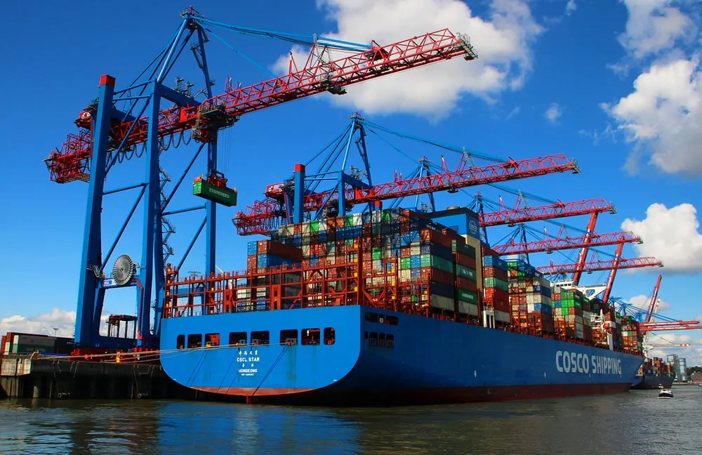 Eine vollständige Analyse der Pilzexport-Zollabfertigung in einem Artikel