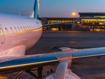 Un agent d’import-export, est-ce vraiment si magique ?