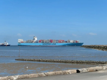 Import von Pigmenten blockiert? Leitfaden eines erfahrenen Zollagenten aus Shanghai zur Vermeidung von Fallstricken