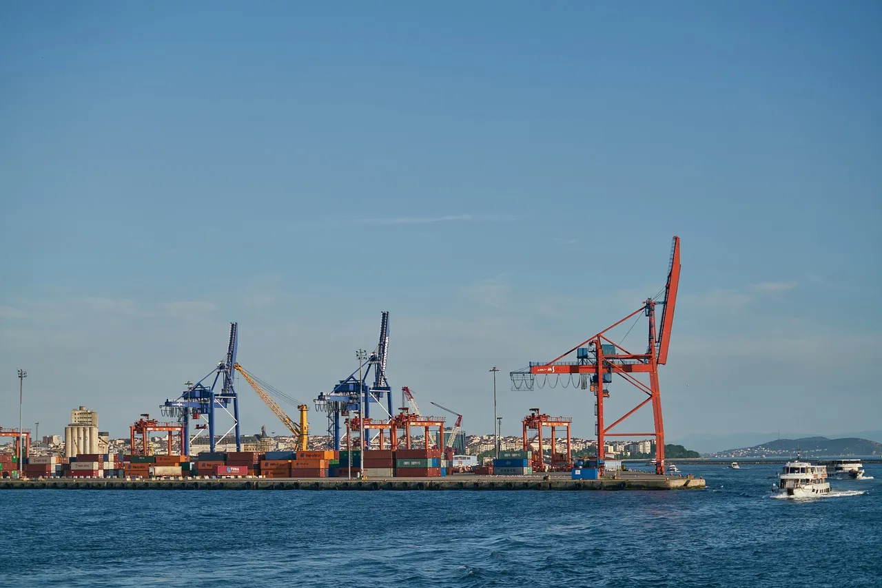 수입 대행 업체 수수료, 너무 복잡한가요?