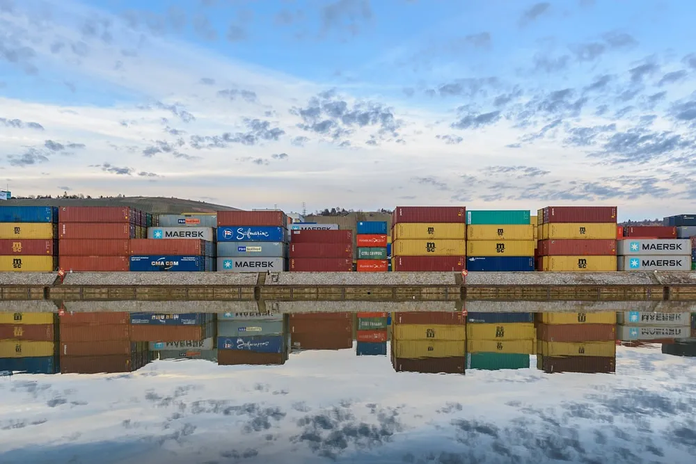 Stop being confused! A grand unveiling of the import and export agency process