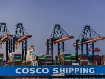 How long does the foreign trade agency tell you to import customs clearance goods?