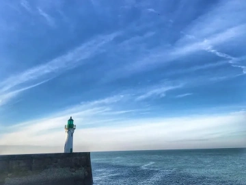 Schluss mit dem Herumprobieren! So wird das Import- und Export-Steuererstattungs-Agenturgeschäft effizient