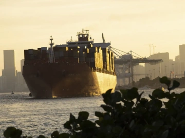 What are the main responsibilities of a foreign trade import and export agency?