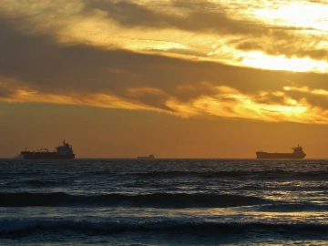 Changsha Railway Import Agency: A Secret Channel Saving 40% Compared to Air Freight