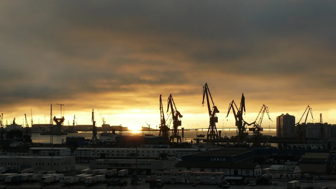 Proxy Export and Tax Rebates: Do You Truly Understand Them?