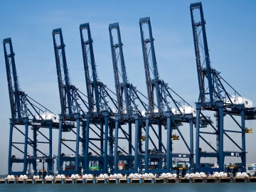 Mandataire pour la demande de licence d’import-export ? Tout ce que vous devez savoir est ici !