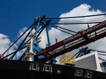 What are the duties of a foreign trade import and export agency?