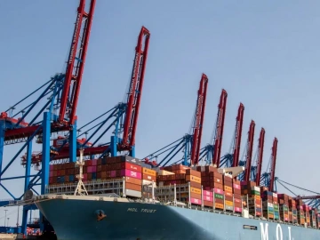 Dare You Peek into the Hidden World of Import and Export Agency Fees?