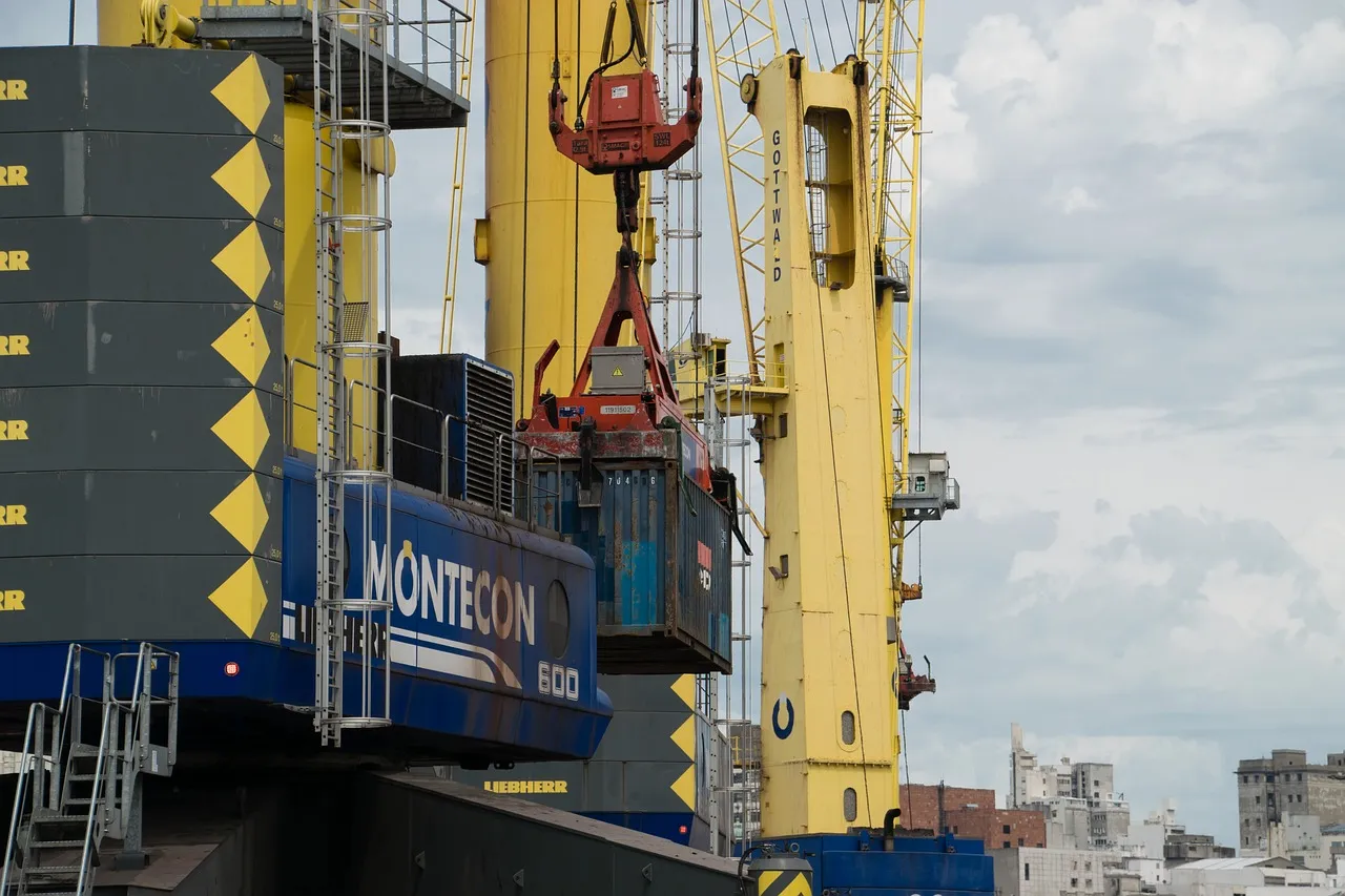 Как выбрать агентские услуги по возмещению экспортных налогов?