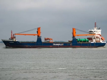 Export process | how many steps do you need to complete the export process?