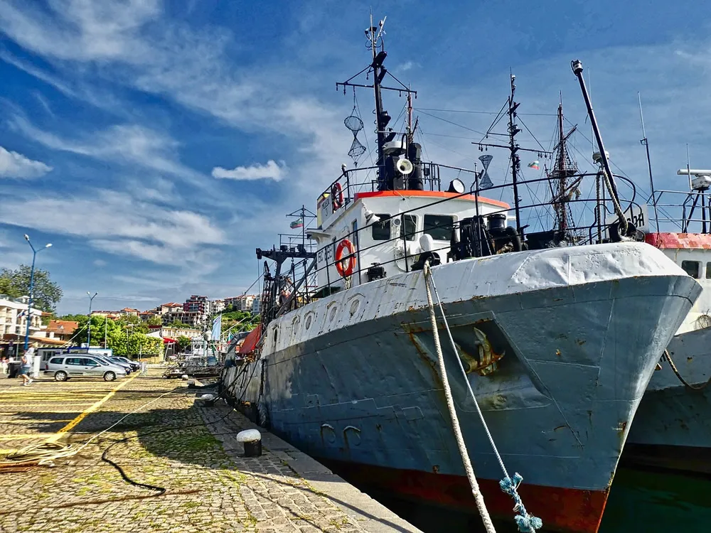 Du blocage au dédouanement, votre cargaison n’a besoin que d’un bon agent