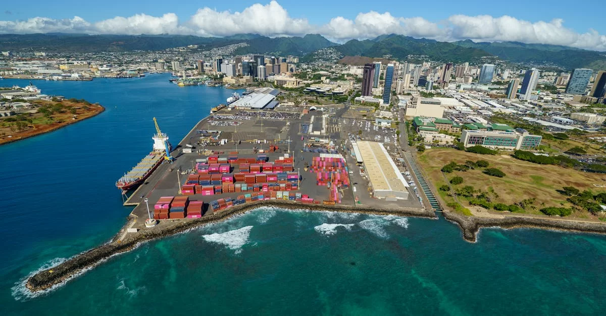 Imported Cosmetics Declaration Agency: Do You Really Understand It?