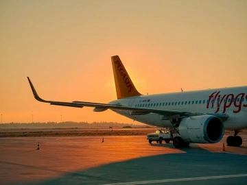 Hubei Export Logistics Agency Company, surprisingly so powerful?