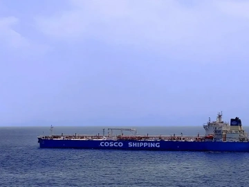 What are the main responsibilities of a foreign trade import and export agency?