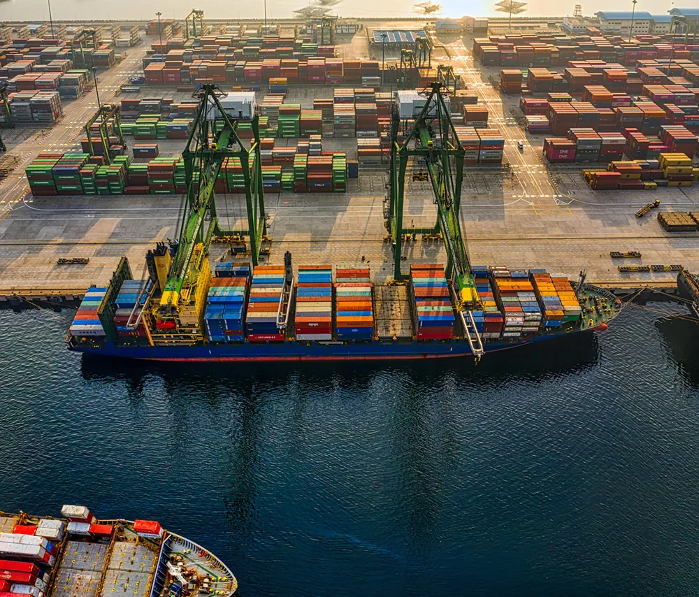 Qingdao Import Company Agency: Pie or Pitfall?