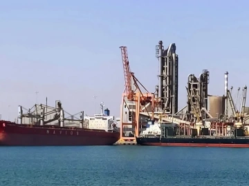 What are the duties of a foreign trade import and export agency?