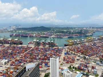 Enthüllung der Blackbox-Operationen von Zhong-Hong-Import- und Exportagenturen