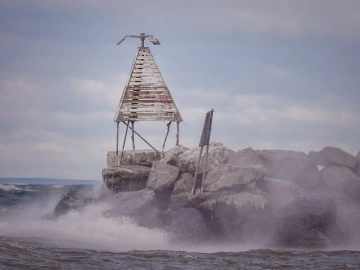 Les secrets des agents d’import-export aérien international de Wuhan que vous ignorez