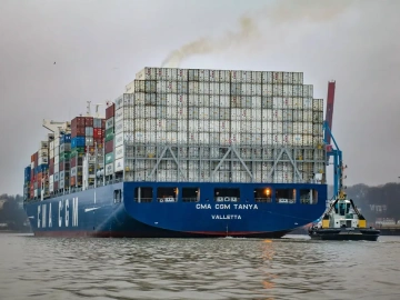 Why Are Mechanical Import Customs Declaration Agency Fees So High?