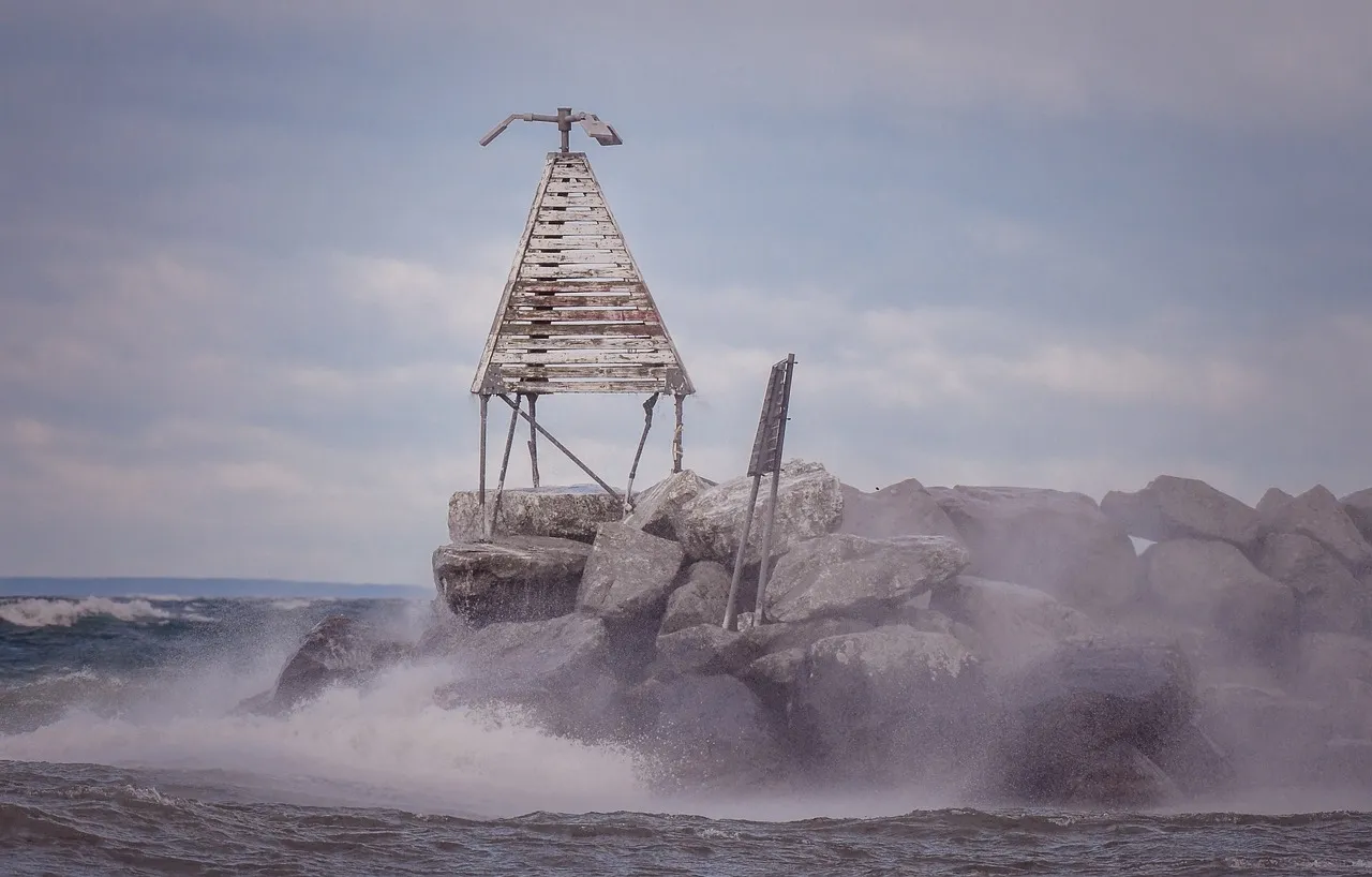 선전시 수출입 세금 환급 처리 절차에 대한 재미있는 이야기