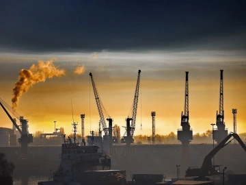 Mandataire pour la demande de licence d’import-export ? Tout ce que vous devez savoir est ici !