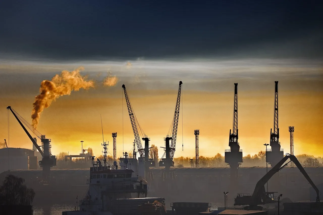 Why Do Smart Bosses Leave Customs Declaration to Others?