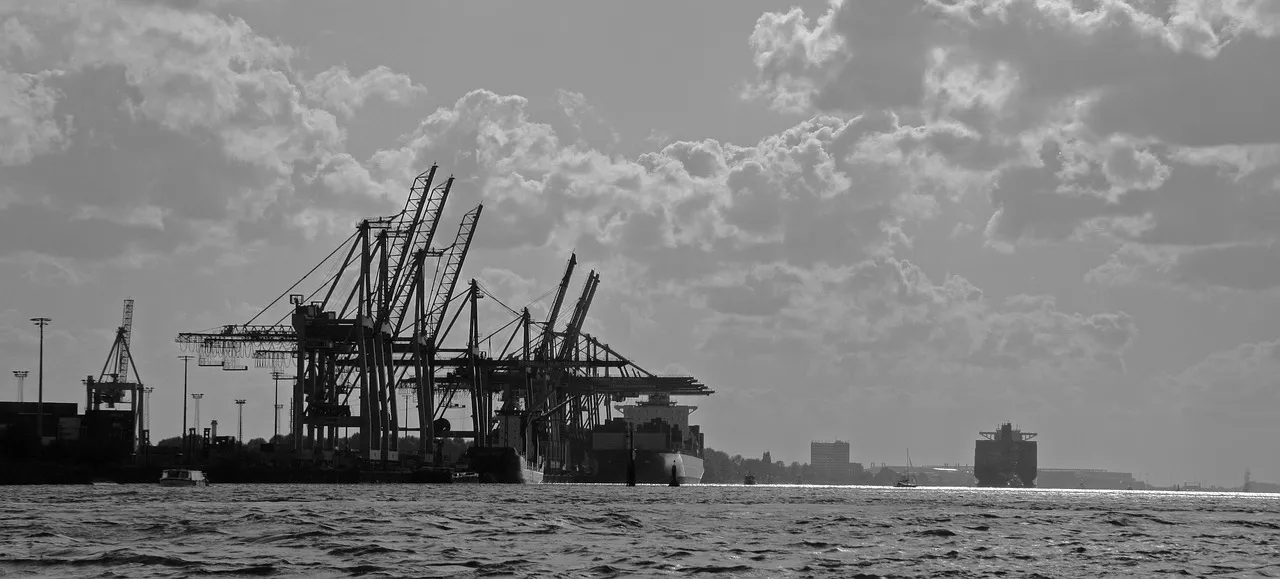 Kennen Sie die Kosten von Importagenturen wirklich?