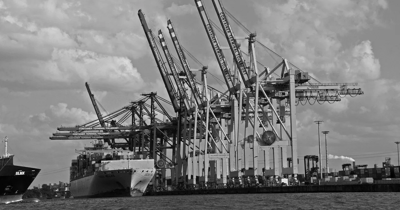 La era del seguro inteligente: tu póliza podría ser un NFT