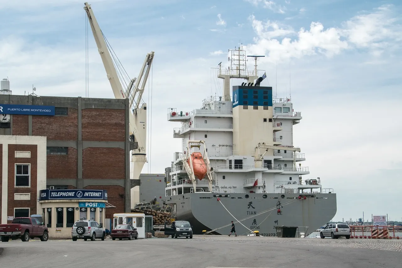 Your Cargo Might Be in Illegal Transit! Do You Know These Re-export Pitfalls