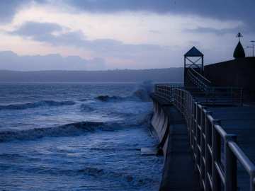 Import- und Exportrechte = Gelddruckmaschine? Was 90% der Unternehmer in den High-Tech-Zonen nicht wissen